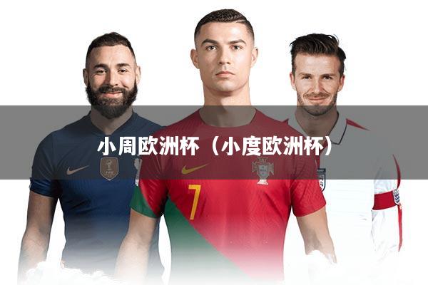 小周欧洲杯（小度欧洲杯）